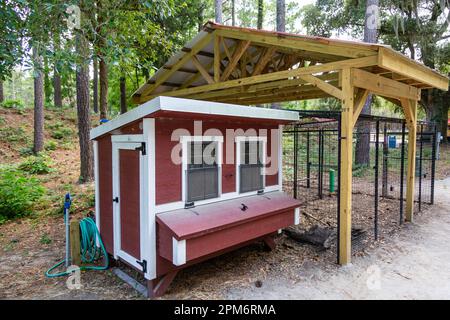 Una gabbia di pollo allo zoo Lowcountry presso i Brookgreen Gardens vicino a Murrell's Inlet, South Carolina, USA. Foto Stock