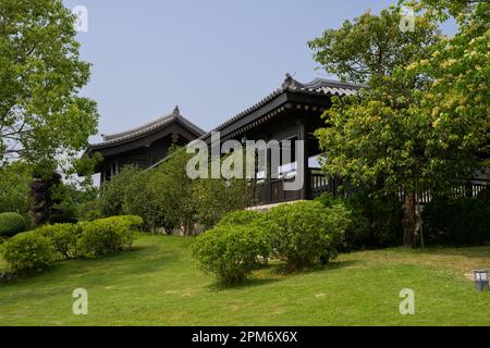 HONG KONG SAR, CINA. APRILE 11th, 2023. Foto del monastero di TSZ Shan Jayne Russell/ immagine d'archivio di Alamy Foto Stock