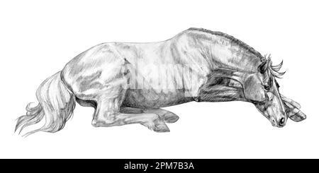 Illustrazione grafica realistica di un cavallo sdraiato di colore nero e grigio isolato su sfondo bianco. Fatto a mano. Disegno a matita. Foto Stock