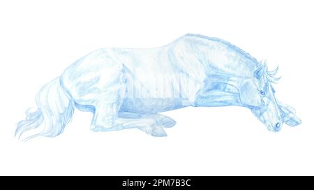 Illustrazione grafica realistica di un cavallo sdraiato di colore blu isolato su sfondo bianco. Fatto a mano. Disegno a matita. Foto Stock