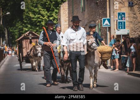 Francia, Bouches-du-Rhône, Pelissanne, festa della transumanza con sfilata popolare in costume tradizionale provenzale di pastori, greggi di pecore, asini e cavalli Foto Stock