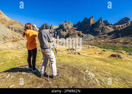 Francia, Isère, Belledonne, Chamrousse, Robert laghi (1998 m), ornitologia e osservazione della fauna selvatica, il giovane osserva la presenza di fauna selvatica in un telescopio terrestre, sullo sfondo da destra a sinistra il Petit Van (2439 m), il Grand Van (2448 m) e il Grand Sorbier (2526 m) Foto Stock