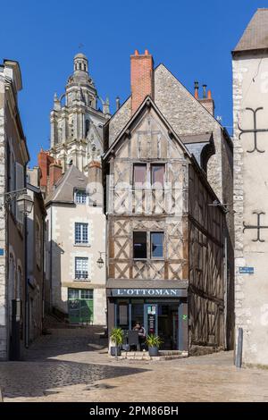 Francia, Loir-et-Cher, Valle della Loira Patrimonio Mondiale dell'UNESCO, Blois, la casa del Saint-Michel immagine (16th ° secolo) deve il suo nome a una statua del San Michele Arcangelo, che è ora scomparso, la casa è notevole per il suo alto timpano e la sua facciata a graticcio Foto Stock