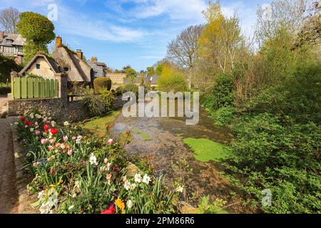 Francia, Seine-Maritime, Veules-les-Roses, Pays de Caux, ingresso del villaggio, Casa tradizionale con tetto di paglia, sulle rive del Veules, più breve fiume in riva al mare in Francia Foto Stock