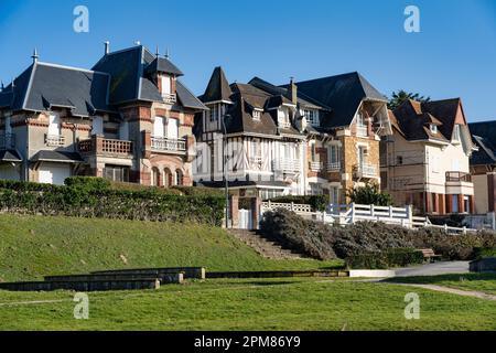 Francia, Seine Maritime, Criel sur Mer, Cote d'Abatre Foto Stock