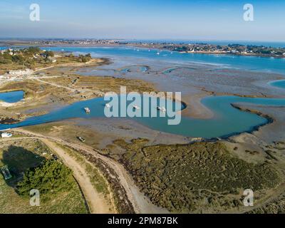 Francia, Morbihan, Golfo di Morbihan, penisola di Rhuys, le Tour-du-Parc, Litorale con bassa marea sul fiume Penerf (vista aerea) Foto Stock