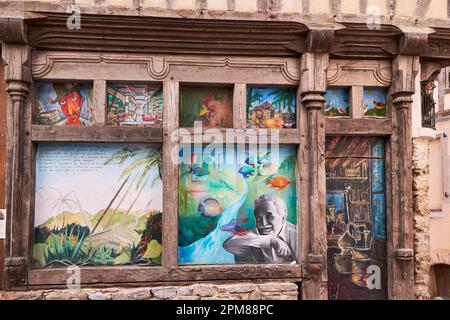 Francia, Mayenne, Laval, arte di strada nel centro della città Foto Stock