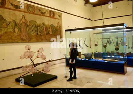 Italia, Lombardia, Milano, il Castello Sforzesco, costruito nel 15th dal Duca di Milano Francesco Sforza, il museo degli strumenti musicali Foto Stock