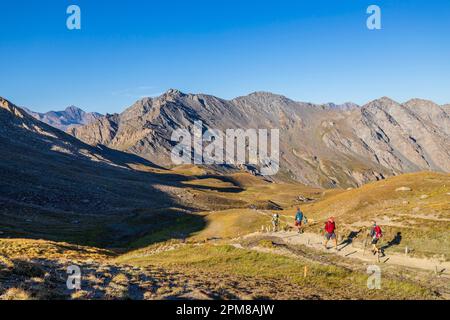 Francia, Hautes-Alpes, parco naturale regionale di Queyras, Abriès, escursionisti sul GR58 Tour du Queyras verso col Agnel (2744 m) da col Vieux (2806 m) Foto Stock