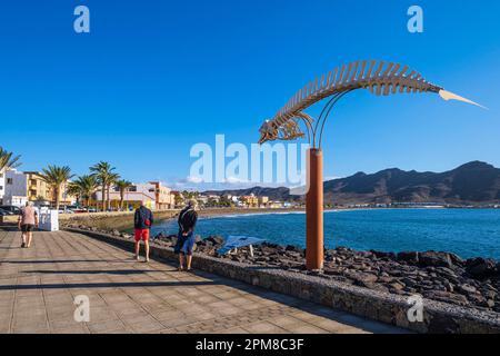 Spagna, Isole Canarie, Fuerteventura, comune di Tuineje, la città portuale e la località balneare di Gran Tarajal, scheletro di una balena di Cuvier (Ziphius cavirostris) bloccata sull'isola nel 2005 Foto Stock