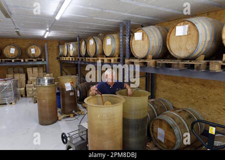 Francia, Drome, Drome Provencale, Nyons, l'aceto Para fabbrica, aceto casereccio Foto Stock