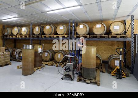 Francia, Drome, Drome Provencale, Nyons, l'aceto Para fabbrica, aceto casereccio Foto Stock