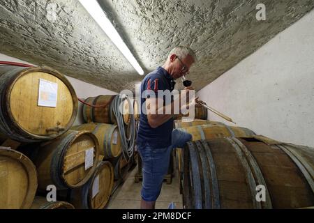 Francia, Drome, Drome Provencale, Nyons, l'aceto Para fabbrica, aceto casereccio Foto Stock