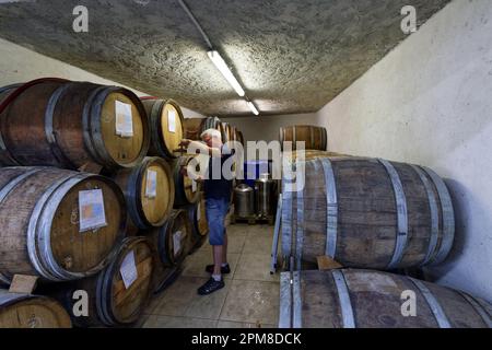 Francia, Drome, Drome Provencale, Nyons, l'aceto Para fabbrica, aceto casereccio Foto Stock