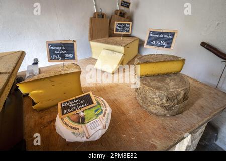 Francia, Savoia, Pralognan-la-Vanoise, Parco Nazionale della Vanoise, GR 55, Valle Chavière, Ritord pascoli caseificio, vendita diretta di formaggi beaufort chalet d'alpage AOC, serac, tomme de vache e reblochon Foto Stock