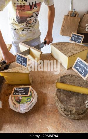 Francia, Savoia, Pralognan-la-Vanoise, Parco Nazionale della Vanoise, GR 55, Valle Chavière, Ritord pascoli caseificio, vendita diretta di formaggi beaufort chalet d'alpage AOC, serac, tomme de vache e reblochon Foto Stock