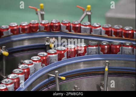 SUQIAN, CINA - 12 APRILE 2023 - una linea di produzione automatizzata di birra Budweiser è stata vista in un laboratorio di Anheuser-Busch InBev (Suqian) Beer Co LTD in Foto Stock