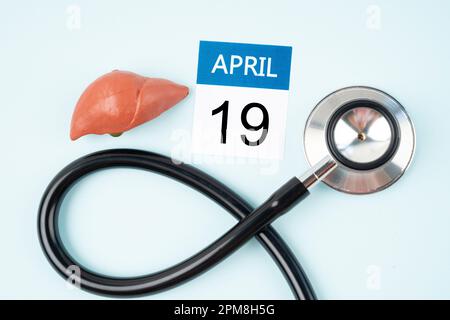 Aprile 19th calendario e fegato umano artificiale con stetoscopio medico. Concetti della Giornata Mondiale del fegato. Foto Stock