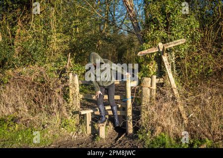 Una donna si arrampica su un palafitte in una passeggiata attraverso boschi a West Sussex, Regno Unito. Foto Stock