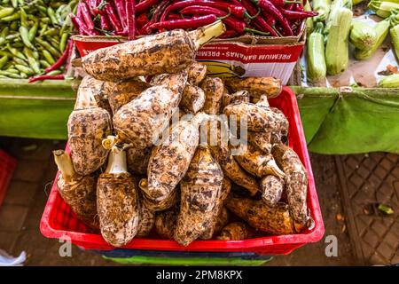 Una cassa di plastica rossa traboccante di kolokasi (Colocasia esculenta, taro) si trova nel mercato di Bandabulya nella sala del mercato di Lefkoşa/Nicosia, Repubblica Turca di Cipro del Nord (RTNC), affiancata da casse di fagioli broad e peperoncini rossi. Il koloksi, una specialità cipriota il cui sapore è qualcosa a metà tra la patata e il topinambur, viene tagliato a cubi e servito cotto. Frutta e verdura fresche vengono vendute quotidianamente nella sala del mercato. Foto Stock