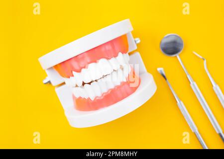 Dentale modello e strumento su sfondo giallo. Foto Stock