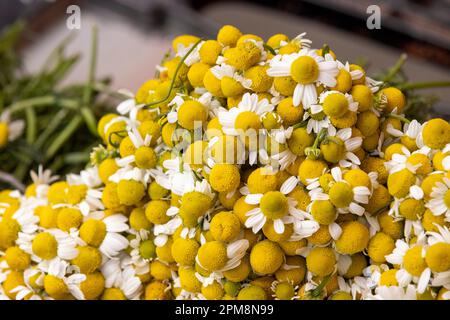 Una vivace vita morta di un mazzo di fiori freschi e gialli in una formazione a pila Foto Stock