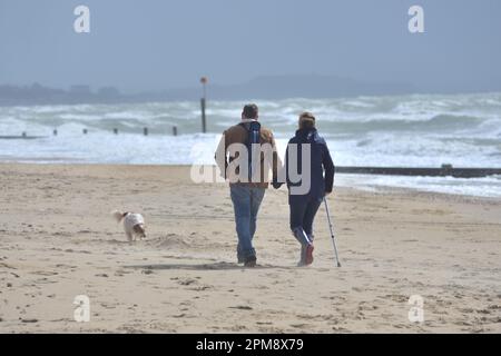 Storm Noa, Bournemouth, Dorset, Regno Unito, 12th aprile 2023, Meteo. Dog walkers sulla spiaggia in forte vento e condizioni di tempesta sul lungomare in mattinata. Credit: Paul Biggins/Alamy Live News Foto Stock