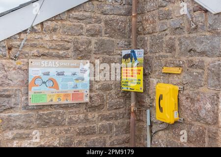 Stazione di osservazione della testa dei worms: Phillip Roberts Foto Stock