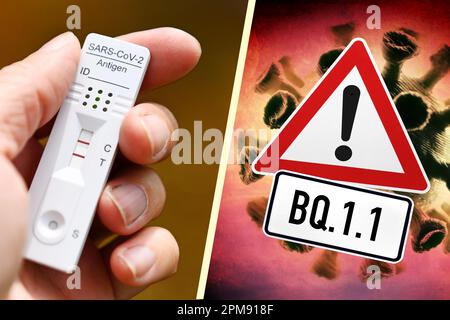 FOTOMONTAGE, Hand hält positiven Corona-Schnelltest und Gefahrenschild mit Aufschrift BQ.1,1, Corona-variante BQ.1,1, Symbolfoto Foto Stock