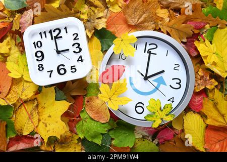 FOTOMONTAGE, Uhr auf Herbstblättern, Symbolfoto für die Umstellung auf Winterzeit Foto Stock