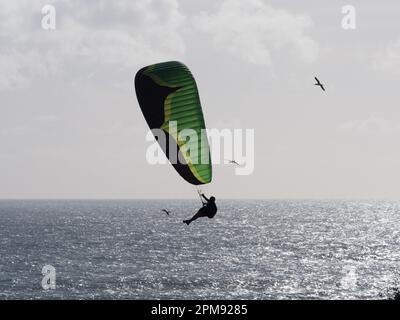 Un parapendio vola su una scena oceanica con uccelli che volano sullo sfondo..Backlit silhouette.Sport.Recreation Foto Stock