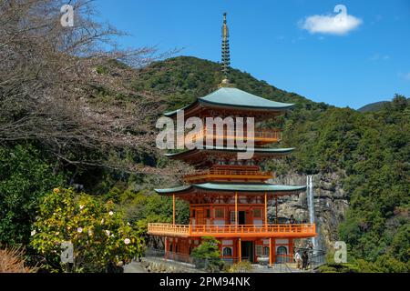 Nachikatsuura, Giappone - 19 marzo 2023: La Pagoda di Seigantoji a Kumano Nachi Taisha è un santuario shintoista situato a Nachikatsuura, Giappone. Foto Stock