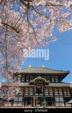 Nara, Giappone - 22 marzo 2023: Il tempio Todaiji è un tempio buddista di Nara, Giappone. Foto Stock