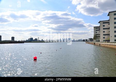 Una vista che guarda ad Ovest lungo il Royal Albert Dock nell'area Royal Docks di Londra di Newham, Inghilterra Foto Stock