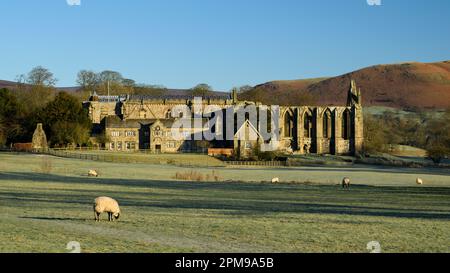 Vista panoramica rurale delle pittoresche rovine monastiche dell'abbazia di Bolton, della chiesa del Priorato, della vecchia canonica e del cielo blu - Yorkshire Dales, Inghilterra, Regno Unito. Foto Stock