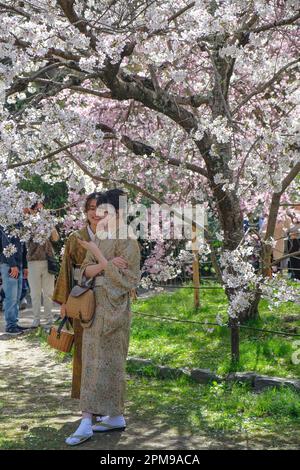 Kyoto, Giappone - 28 marzo 2023: Due donne vestite di kimono che prendono un selfie sotto un albero di ciliegio al Parco Maruyama di Kyoto, Giappone. Foto Stock