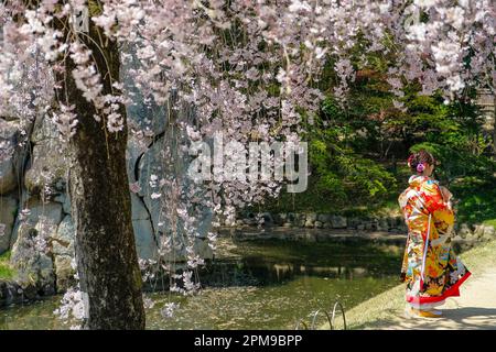 Okayama, Giappone - 4 aprile 2023: Una donna vestita di kimono nel giardino di Okayama Korakuen, Korakuen è un giardino giapponese situato ad Okayama, Giappone. Foto Stock