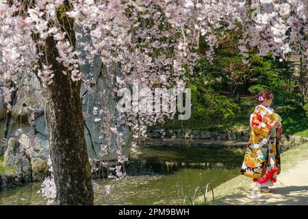 Okayama, Giappone - 4 aprile 2023: Una donna vestita di kimono nel giardino di Okayama Korakuen, Korakuen è un giardino giapponese situato ad Okayama, Giappone. Foto Stock