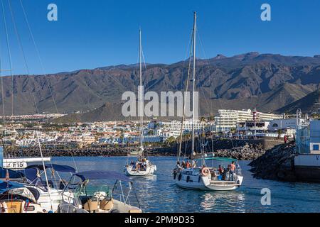 Tenerife, Isole Canarie Foto Stock
