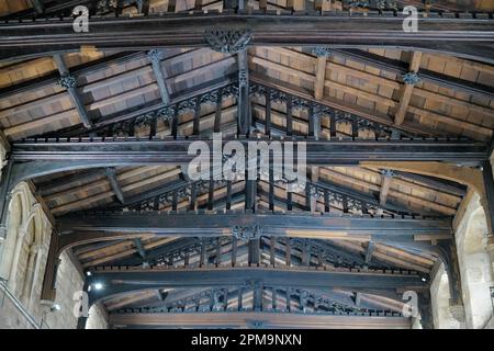 Le travi del tetto della chiesa di St Mary De Castro Leicester sono realizzate in un unico pezzo di legno; uno dei migliori esempi nel Regno Unito. Foto Stock