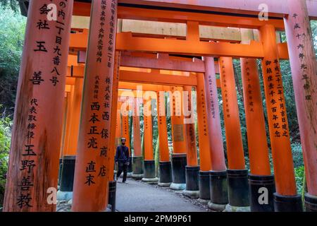 Kyoto, Giappone - 24 marzo 2023: Colonne presso l'iconico Santuario di Fushimi Inari Foto Stock