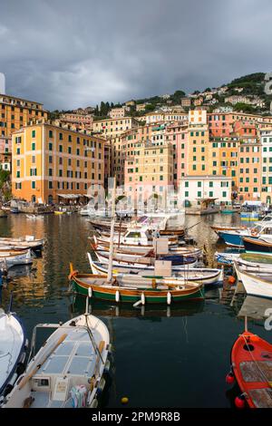 Il porto di Camogli, un piccolo villaggio di pescatori e turistico situato sul lato ovest della penisola di Portofino, sul Golfo Paradiso nella Riviera di Levante, nella provincia di Genova sulla Riviera Italiana. Foto Stock