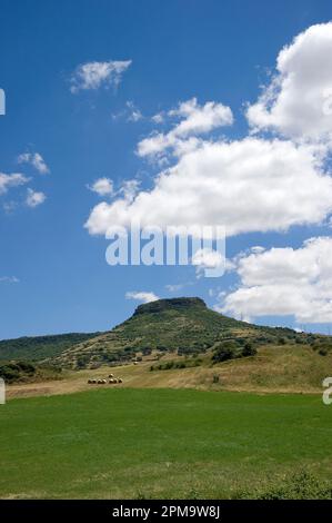 Valle dei vulcani. Logudoro Meilogu.Paesaggio vicino a Siligo. Sardegna. Italia Foto Stock