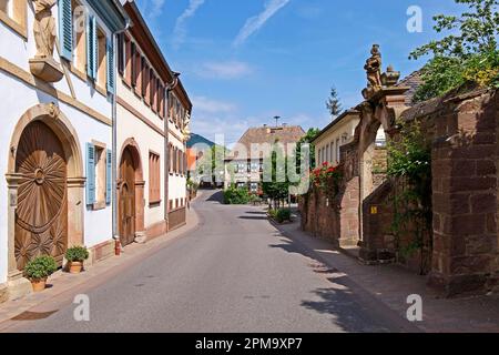 Strada del villaggio nel villaggio del vino di Hainfeld, strada del vino tedesca, anche strada del vino meridionale, Palatinato meridionale, Palatinato, Renania-Palatinato Foto Stock