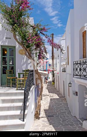 Vicolo nella città vecchia, Parikia, Paros, Clyclades, Grecia Foto Stock