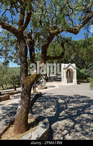 Statua di San Maria, stazioni della Croce, Valinhos, Fatima, Olive (Olea europaea) Portogallo Foto Stock