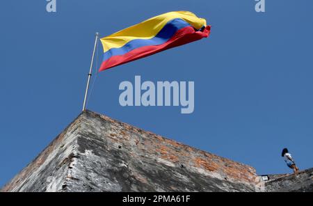 Cartagena, Stati Uniti. 26th Feb, 2023. La bandiera colombiana vola a Castillo San Felipe nella storica città di Cartagena, Colombia. La costruzione iniziò nel 1536. (Credit Image: © Mark Hertzberg/ZUMA Press Wire) SOLO PER USO EDITORIALE! Non per USO commerciale! Foto Stock