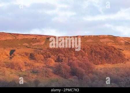 Immagini paesaggistiche catturate vicino al villaggio di Aysgarth, situato nel nord dello Yorkshire Inghilterra Foto Stock