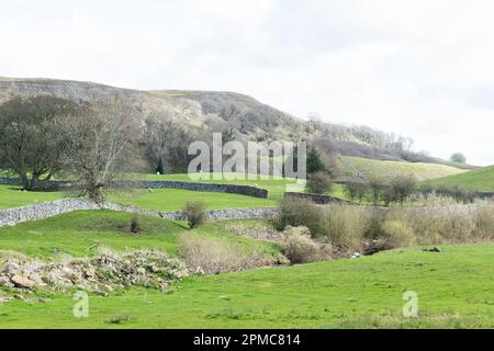 Immagini paesaggistiche catturate vicino al villaggio di Aysgarth, situato nel nord dello Yorkshire Inghilterra Foto Stock