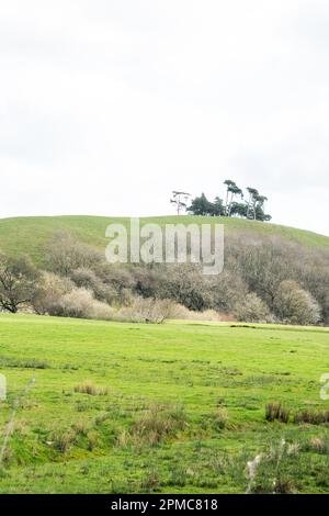 Immagini paesaggistiche catturate vicino al villaggio di Aysgarth, situato nel nord dello Yorkshire Inghilterra Foto Stock